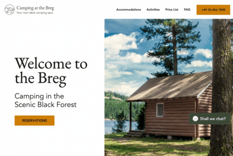 website-for-beginners8