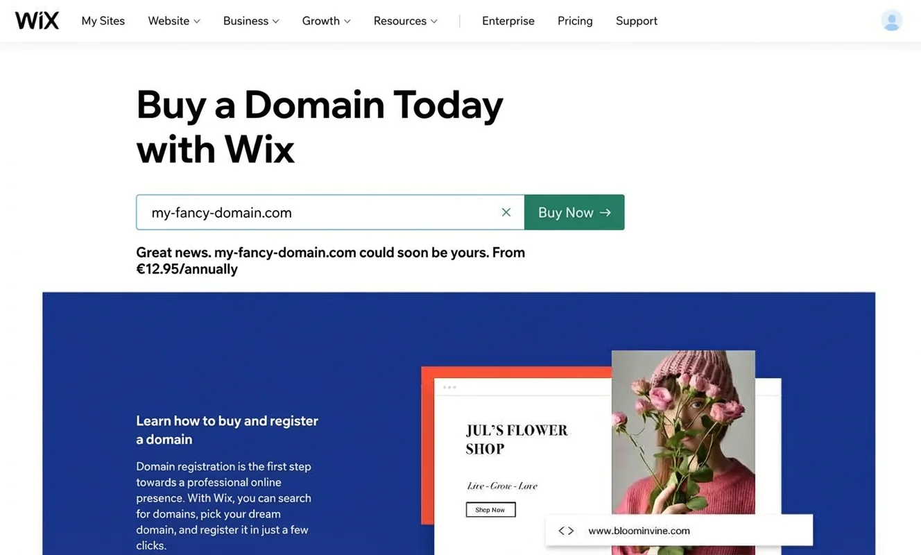 website-for-beginners12