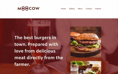 website-for-beginners33