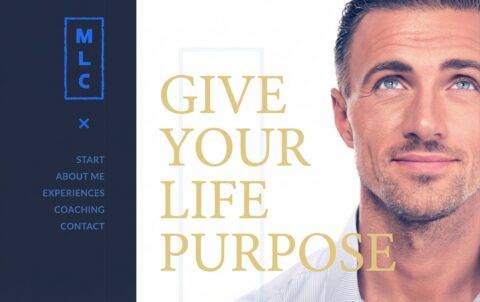 ionos-coaching-theme