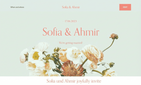 wedding-website-example-5